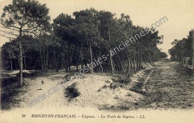 Carte postale ancienne Cayeux — Cayeux-sur-Mer (Somme)