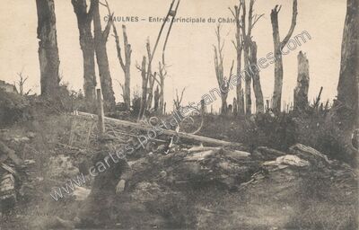 Carte postale ancienne Entrée principale du Château — Chaulnes (Somme)