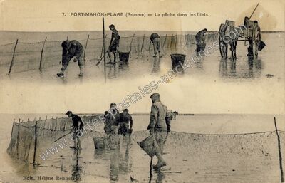 Carte postale ancienne La pêche dans les filets — Fort-Mahon-Plage (Somme)