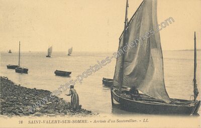 Carte postale ancienne Arrivée d'un Sauterellier — Saint-Valery-sur-Somme (Somme)