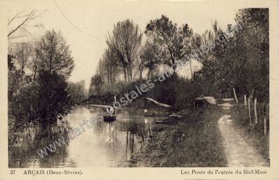 Carte postale ancienne Les Ponts de l'entrée du Bief-Miné — Arçais (Deux-Sèvres)