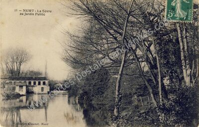 Carte postale ancienne La Sèvre au Jardin Public — Niort (Deux-Sèvres)
