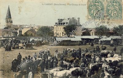 Carte postale ancienne Le Champ de Foire — Saint-Varent (Deux-Sèvres)