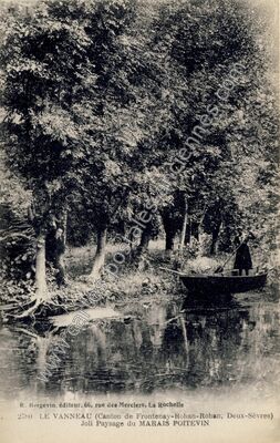 Carte postale ancienne Joli Paysage du MARAIS POITEVIN — Le Vanneau (Deux-Sèvres)