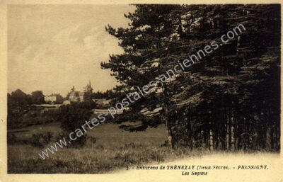 Carte postale ancienne Environs de THÉNEZAY. Les Sapins — Pressigny (Deux-Sèvres)