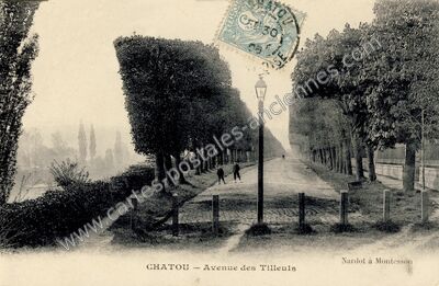 Carte postale ancienne Avenue des Tilleuls — Chatou (Yvelines)