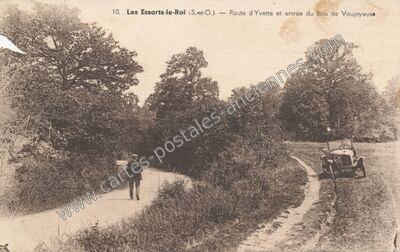 Carte postale ancienne Route d Yvette et entrée du Bois de Vaujoyeuse — Les Essarts-le-Roi (Yvelines)