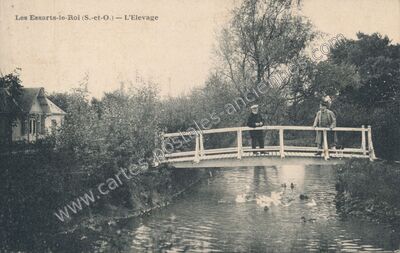 Carte postale ancienne L'Elevage — Les Essarts-le-Roi (Yvelines)