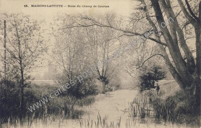 Carte postale ancienne Noue du Champ de Courses — Maisons-Laffitte (Yvelines)