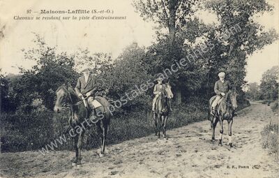 Carte postale ancienne Chevaux se rendant sur la piste d'entrainement — Maisons-Laffitte (Yvelines)