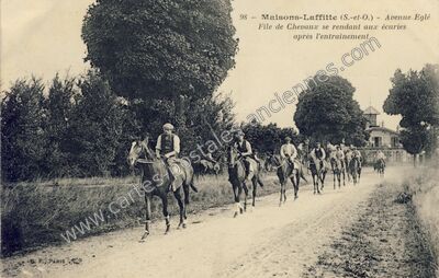 Carte postale ancienne Avenue Eglé File de Chevaux se rendant aux écuries après l'entrainement — Maisons-Laffitte (Yvelines)