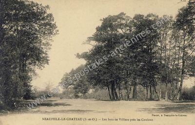 Carte postale ancienne Les bois de Villiers près les Coulons — Neauphle-le-Château (Yvelines)
