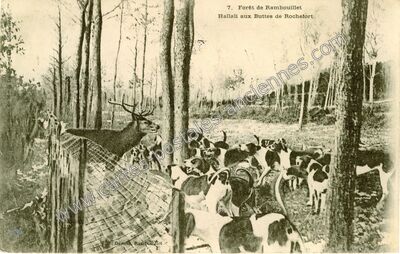 Carte postale ancienne Forêt de Rambouillet, Hallali aux Buttes de Rochefort — Rambouillet (Yvelines)