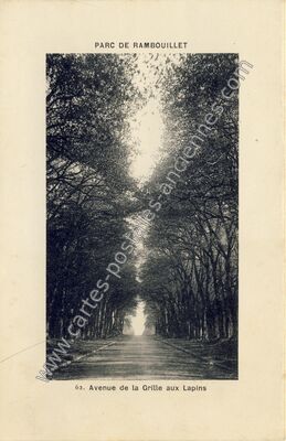 Carte postale ancienne Avenue de la Grille aux Lapins — Rambouillet (Yvelines)