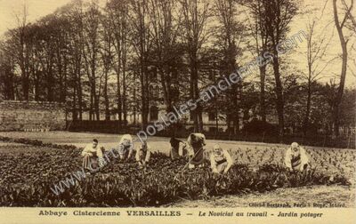 Carte postale ancienne Abbaye Cistercienne - Le Noviciat au travail - Jardin potager — Versailles (Yvelines)
