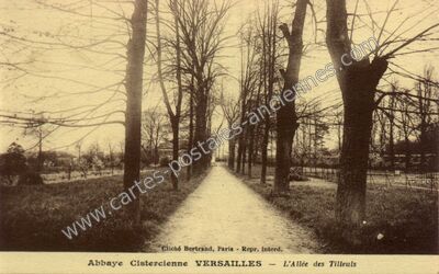 Carte postale ancienne Abbaye Cistercienne - L'Allée des Tilleuls — Versailles (Yvelines)