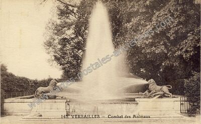Carte postale ancienne Combat des Animaux — Versailles (Yvelines)