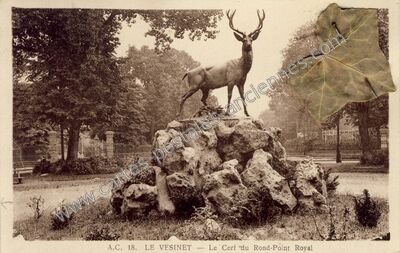Carte postale ancienne Le Cerf du Rond-Point Royal — Le Vésinet (Yvelines)
