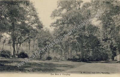 Carte postale ancienne Les Bois — Viroflay (Yvelines)