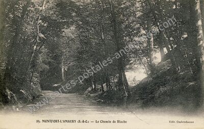 Carte postale ancienne Le Chemin de Blache — Montfort-l'Amaury (Yvelines)