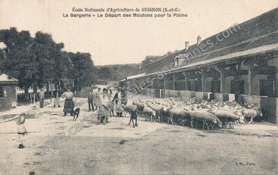 Carte postale ancienne Grignon — Thiverval-Grignon (Yvelines)