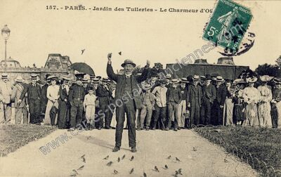 Carte postale ancienne Jardin des Tuileries — Paris 1e (Paris)