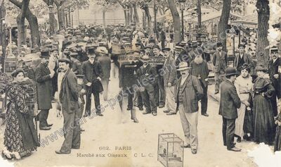 Carte postale ancienne Marche aux Oiseaux — Paris 1e (Paris)