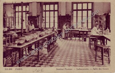 Carte postale ancienne Institut Pasteur — Paris 15e (Paris)
