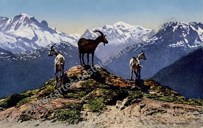 Carte postale ancienne Haute Savoie — Non Localisée (Haute-Savoie)