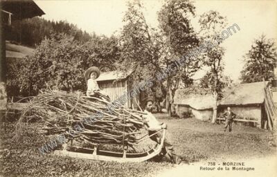 Carte postale ancienne Retour de la Montagne — Morzine (Haute-Savoie)