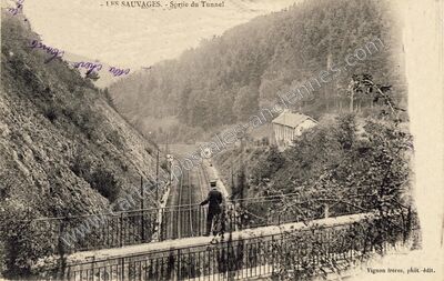 Carte postale ancienne Les Sauvages — Passy (Haute-Savoie)