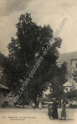 Carte postale ancienne Le Gros Tilleul — Samoëns (Haute-Savoie)