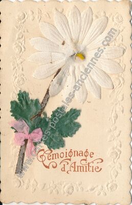 Carte postale ancienne Témoignage d'Amitié — Amitie — Fantaisie