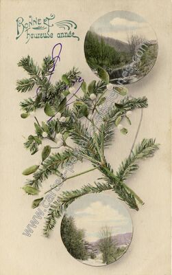 Carte postale ancienne Bonne et heureuse année — Bonne et Heureuse An — Fantaisie