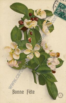 Carte postale ancienne Bonne Fete — Bonne Fete — Fantaisie