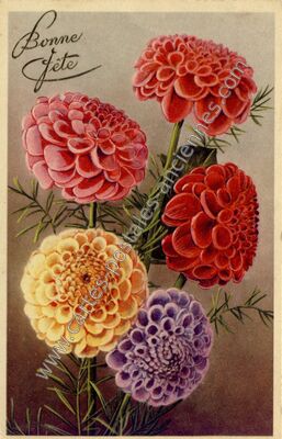 Carte postale ancienne Bonne Fete — Bonne Fete — Fantaisie