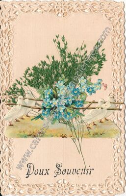 Carte postale ancienne Doux Souvenir — Doux Souvenir — Fantaisie