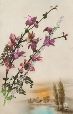 Carte postale ancienne Fleurs — Fleurs — Fantaisie