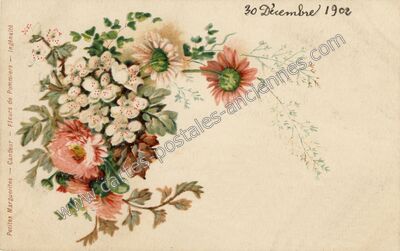 Carte postale ancienne Petites Marguerites - Candeur - Fleurs de Pommiers - Ingénuité — Fleurs — Fantaisie