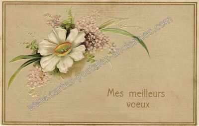 Carte postale ancienne Mes meilleurs voeux — Meilleurs Voeux — Fantaisie