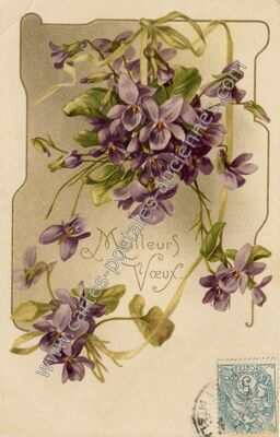 Carte postale ancienne Meilleurs Voeux — Meilleurs Voeux — Fantaisie