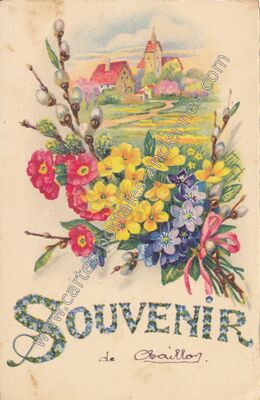 Carte postale ancienne Souvenir — Souvenir — Fantaisie
