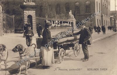 Carte postale ancienne BERLINER TYPEN — Berliner — Allemagne