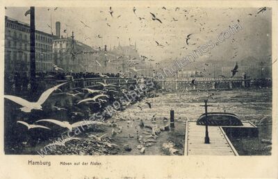 Carte postale ancienne Möven auf der Alster — Hamburg — Allemagne