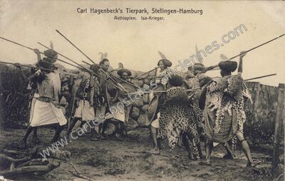 Carte postale ancienne Carl Hagenbeck's Tierpark, Aethiopien. Isa-Krieger — Hamburg — Allemagne