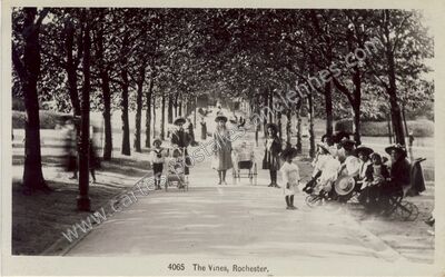 Carte postale ancienne The Vines — Rochester — Angleterre