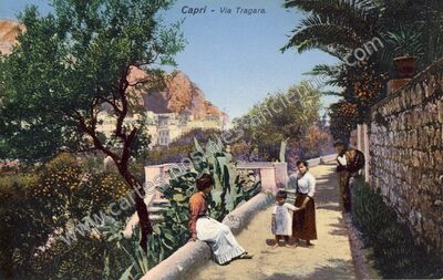 Carte postale ancienne Via Tragara — Capri — Italie