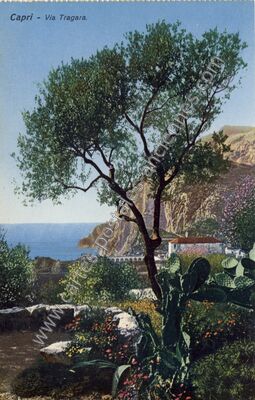 Carte postale ancienne Via Tragara — Capri — Italie