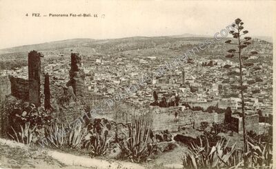 Carte postale ancienne Panorama Fez-el-Bali — Fez — Maroc