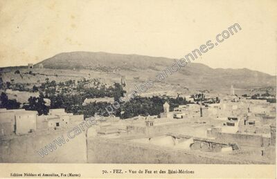 Carte postale ancienne Vue de Fez et des Béni-Mérines — Fez — Maroc